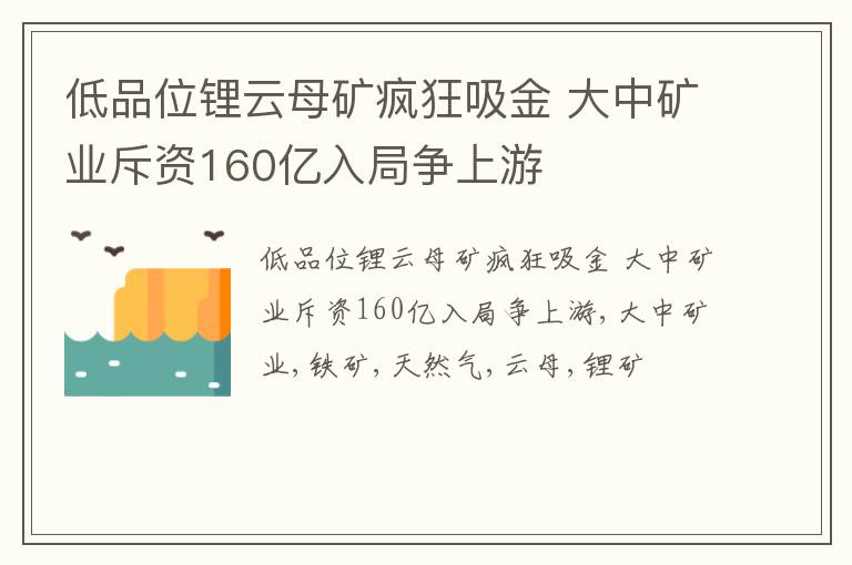 低品位锂云母矿疯狂吸金 大中矿业斥资160亿入局争上游