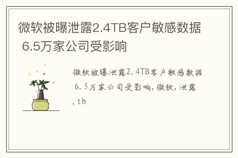 微软被曝泄露2.4TB客户敏感数据 6.5万家公司受影响