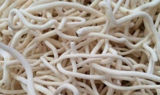 通草一次吃多少合适 通草一次放多少克