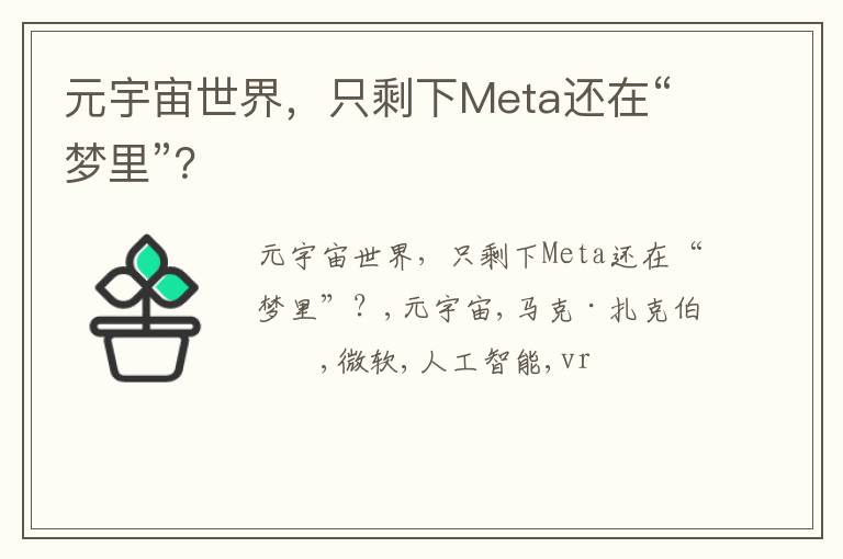 元宇宙世界，只剩下Meta还在“梦里”？