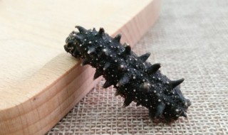 海参一次吃多少个合适 海参一次吃多少好