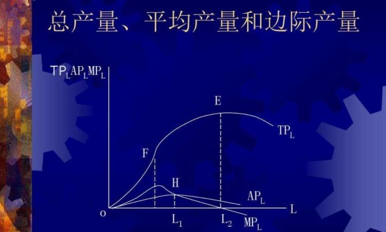 边际产量与平均产量的关系是什么