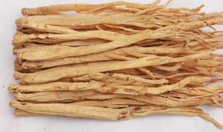 党参可以天天吃吗 党参能每天吃吗