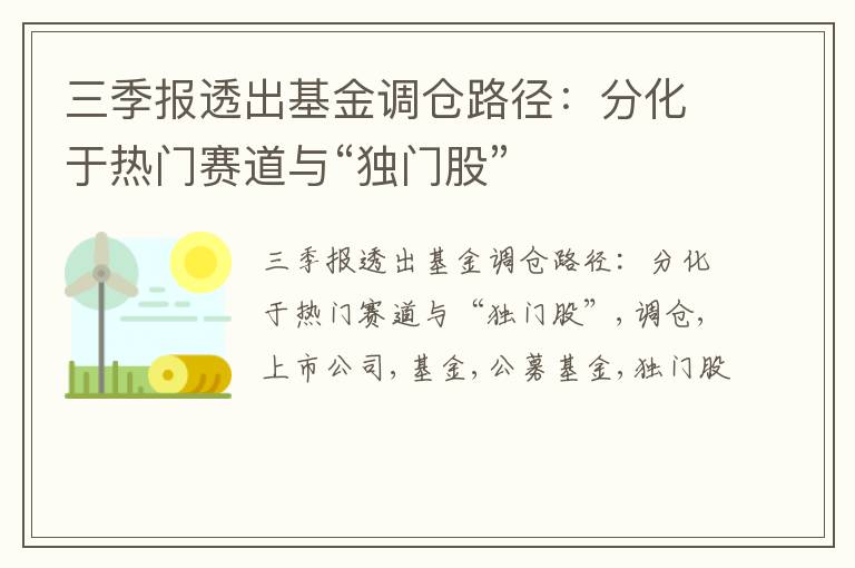 三季报透出基金调仓路径：分化于热门赛道与“独门股”