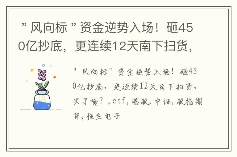 ＂风向标＂资金逆势入场！砸450亿抄底，更连续12天南下扫货，买了啥？