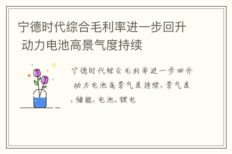 宁德时代综合毛利率进一步回升 动力电池高景气度持续