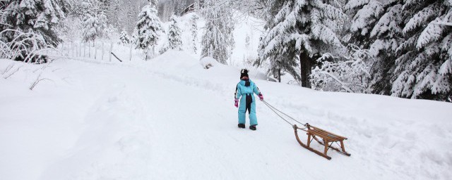 滑雪鞋是标准码吗 滑雪鞋是不是标准码