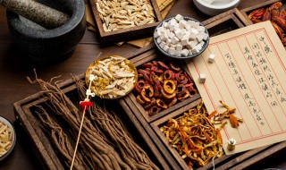 肉苁蓉哪些人不宜吃 肉苁蓉哪些人不可以吃