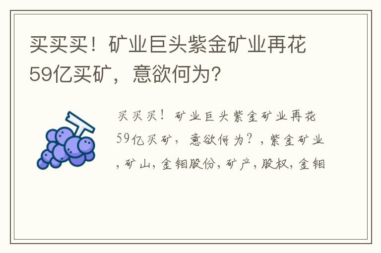 买买买！矿业巨头紫金矿业再花59亿买矿，意欲何为？