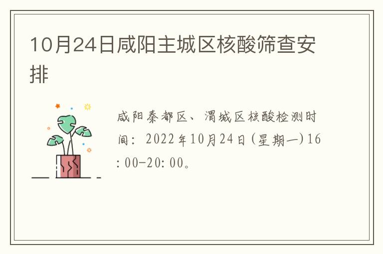 10月24日咸阳主城区核酸筛查安排