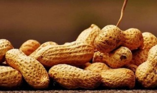 四种人不宜吃落花生 不宜吃落花生的人群介绍