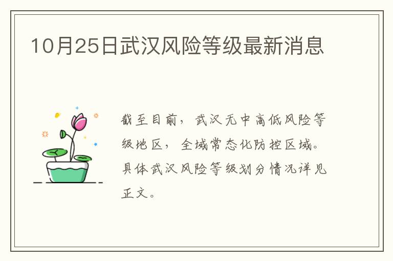 10月25日武汉风险等级最新消息