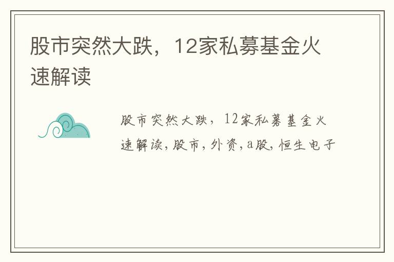 股市突然大跌，12家私募基金火速解读