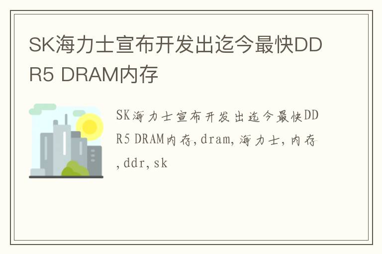 SK海力士宣布开发出迄今最快DDR5 DRAM内存
