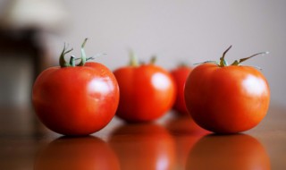 羊肉和西红柿可以一起吃吗 羊肉和西红柿能不能一起吃