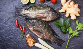 柿子和鱼能一起吃吗 柿子和鱼能不能一起吃