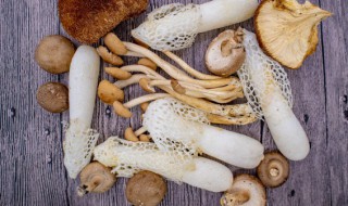 野生菌能和羊肉一起吃吗 野生菌可以和羊肉一起吃吗