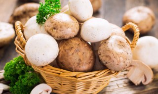 蘑菇羊肉能一起吃吗 蘑菇和羊肉可以一起吃吗