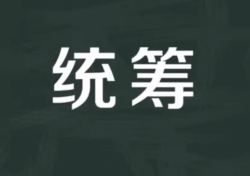 统筹是什么意思