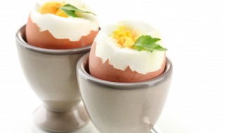 鸡蛋可以和柿子一起吃吗 鸡蛋能和柿子一起吃吗