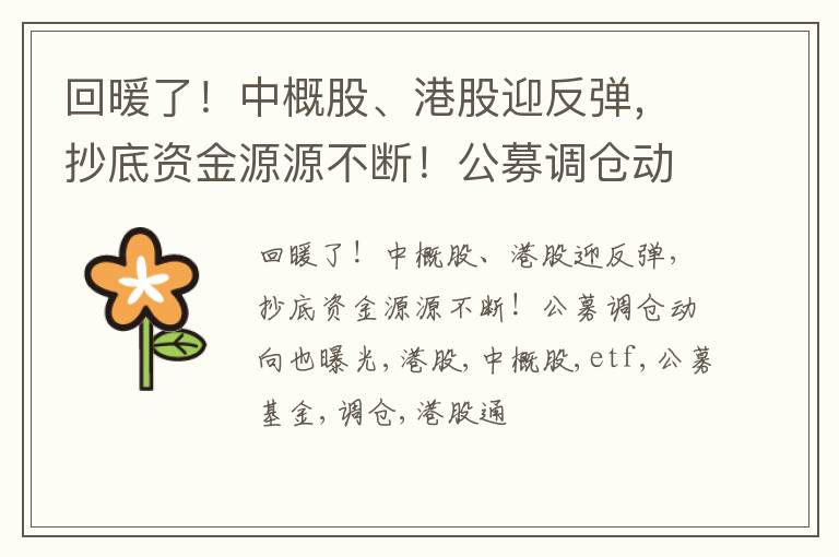 回暖了！中概股、港股迎反弹，抄底资金源源不断！公募调仓动向也曝光