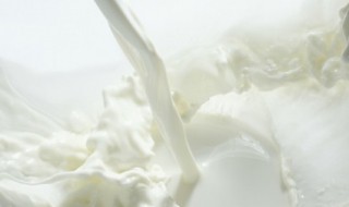 牛奶跟柿子能一起吃吗 牛奶跟柿子可以一起吃吗