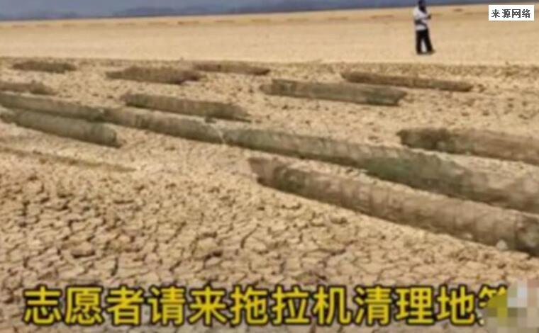 官方回应鄱阳湖现巨型“地笼阵” 原来是这样的