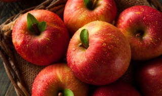 苹果和柿子可以一起吃吗 苹果和柿子能不能一起吃