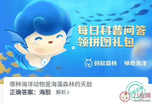 哪种海洋动物是海藻森林的天敌 神奇海洋10月27日答案介绍