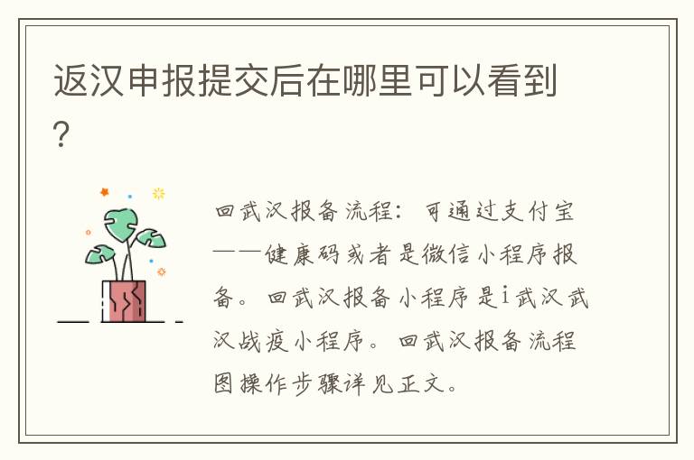 返汉申报提交后在哪里可以看到？
