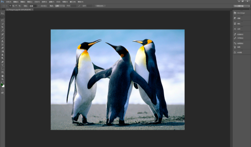 Photoshop CS6如何减少图片杂色 减少图片杂色的方法