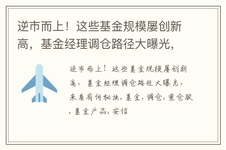 逆市而上！这些基金规模屡创新高，基金经理调仓路径大曝光，来看有何秘诀