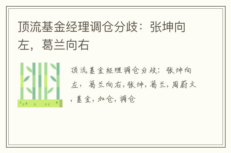 顶流基金经理调仓分歧：张坤向左，葛兰向右