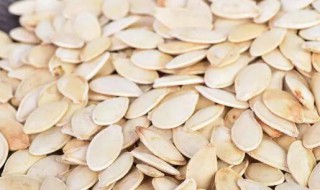 女人吃南瓜子的好处和坏处 女人吃南瓜子的好处和坏处是什么