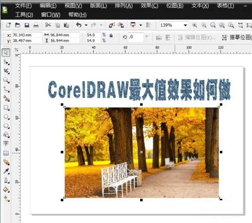 CorelDRAW如何设置最大值 CorelDRAW设置最大值的方法