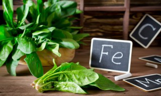 菠菜的好处和坏处 菠菜的好处和坏处介绍