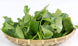 吃地瓜叶有什么好处和坏处 吃地瓜叶有哪些好处和坏处