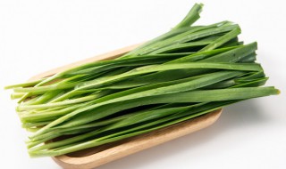 经常吃韭菜有什么好处 经常吃韭菜有哪些好处