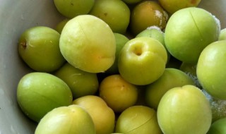 孕妇吃青杏有什么好处 孕妇吃青杏的好处介绍