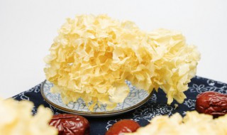 常吃银耳的好处和坏处 常吃银耳有哪些好处和坏处