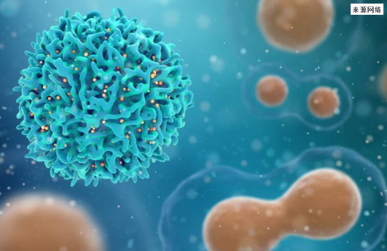 新冠今年是最后一年吗 全球疫情还要几年结束