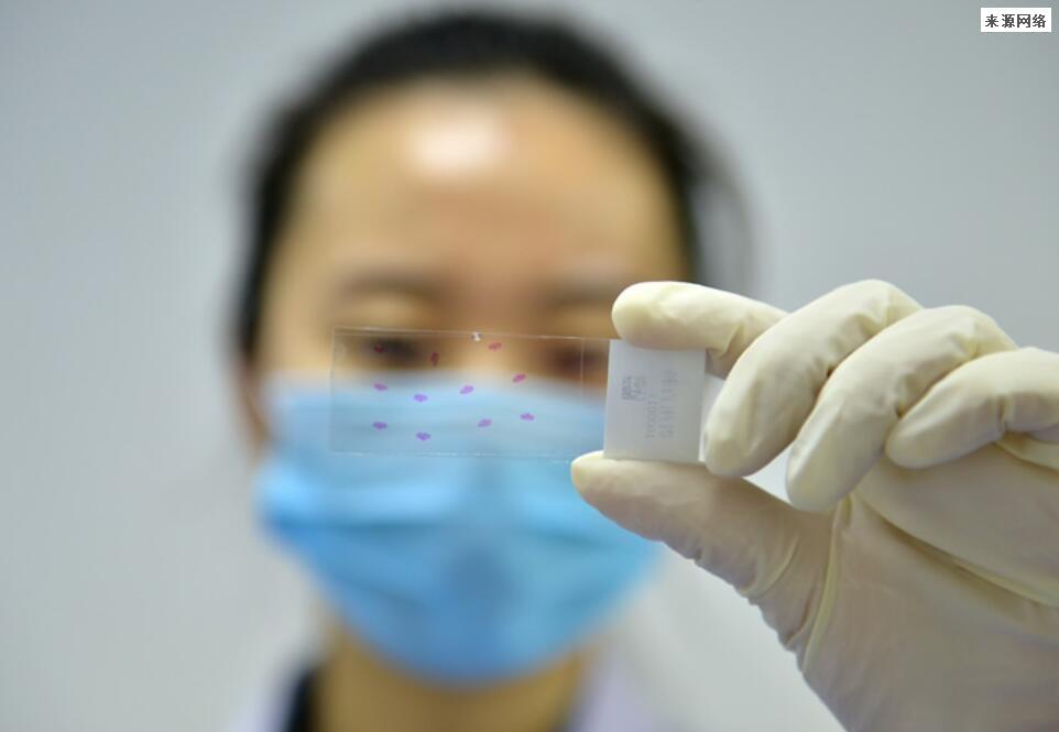 多地通知：乘火车飞机不再查核酸 全国取消核检是真的吗？