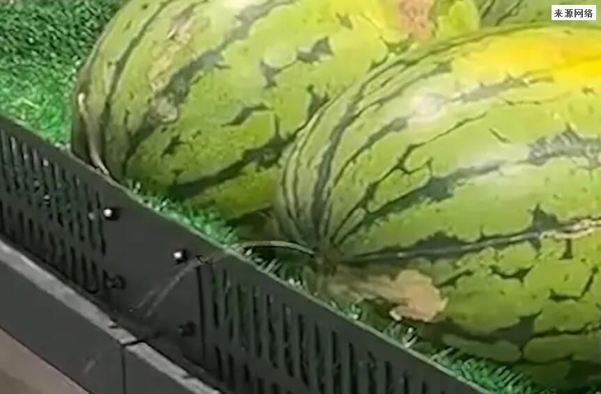 男子逛超市发现西瓜呲水最后爆炸 味道很难闻