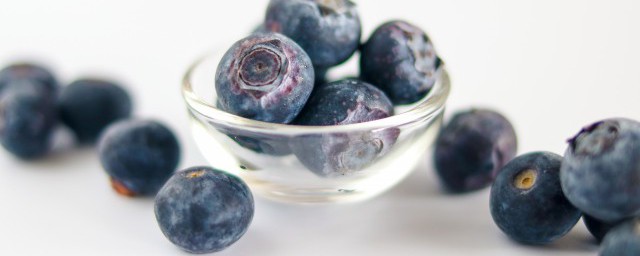 种植蓝莓适合哪些地方 蓝莓的种植环境