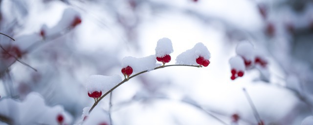 形容立冬下雪的文案短句 立冬下雪的文案