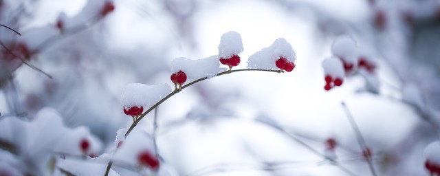 立冬降温下雪的文案短句 立冬节气下雪的文案