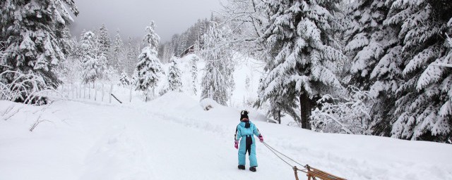 立冬玩雪句子 立冬玩雪句子介绍