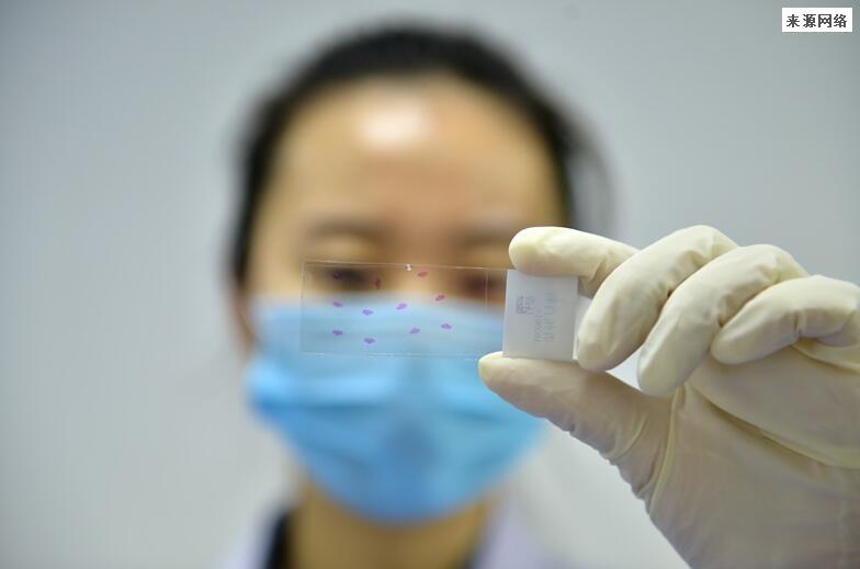 湖北全员核酸检测11月收费吗 这些城市开始收费了