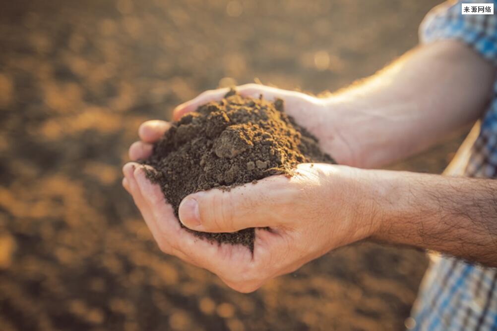 土地承包最新消息？农村土地统一耕种已确定！无地农咋申请土地