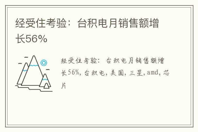 经受住考验：台积电月销售额增长56%